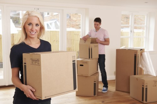 Variety of removal trucks available at Manandvan
