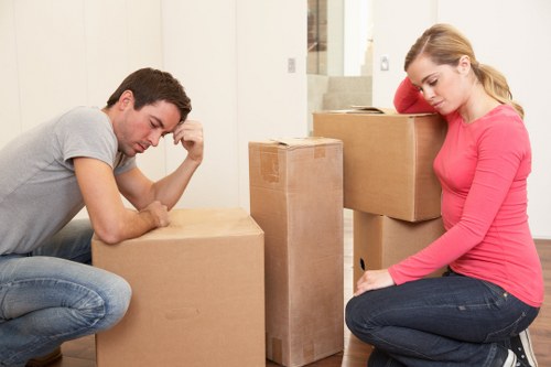 Eco-friendly packing materials used by professionals